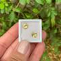 Imagem de Berilo Amarelo Brilhante Par 2,08ct