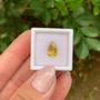 Imagem de Berilo Amarelo Gota 1,60ct