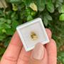 Imagem de Berilo Amarelo Gota 1,89ct