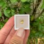 Imagem de Berilo Amarelo Oval 1,48ct