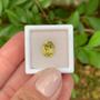 Imagem de Berilo Amarelo Oval 2,21ct