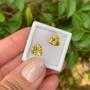 Imagem de Berilo Amarelo Trillion Par 2,77ct