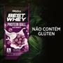 Imagem de Best Whey Protein Ball Delicioso e proteico Snack 4X 30g