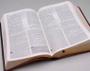 Imagem de Bíblia de Estudo | NVI | Letra Normal | Capa Luxo | Marrom e Carmelo - EDITORA VIDA