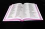 Imagem de Bíblia nvi leitura simples várias capas nova versão sk bqr