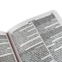 Imagem de Biblia Sagrada Com Harpa - Leão Coroa