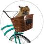 Imagem de Bicicleta aro 26 com 18 Marchas adulto cesta reforçada branc