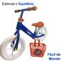 Imagem de Bicicleta De Equilibrio Infantil DM Radical Sem Pedal Suporta Até 25Kg DM6237