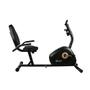 Imagem de Bicicleta Ergométrica Magnética Horizontal Gallant Elite X (GBEV1HMGB-PT)