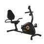 Imagem de Bicicleta Ergométrica Magnética Horizontal Gallant Elite X (GBEV1HMGB-PT)