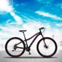 Imagem de Bicicleta Euphora Aro 29 Alumínio 21v Câmbio Traseiro Shimano Freio Mecânico Rosa/Azul - Colli Bike
