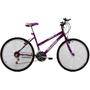 Imagem de Bicicleta Feminina Aro 26 18 Marchas Dalia Violeta