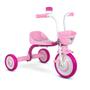 Imagem de Bicicleta Triciclo Infantil Nathor Aro 5