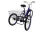 Imagem de Bicicleta Triciclo Luxo Aro 26 Completo Rebaixado
