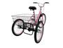 Imagem de Bicicleta Triciclo Luxo Aro 26 Completo Rebaixado