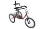 Imagem de Bicileta triciclo adaptado vermelho- aro 20-  deficiente físico- original dream bike