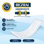 Imagem de Bigfral Absorvente 20 unidades