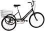 Imagem de Bike Bicicleta Triciclo Adulto Aro 20 Food Bike Preto