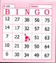 Imagem de Bingo Tamoio com 100 folhas