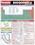 Imagem de Bioquimica: conceitos quimicos - resumao biologicas - BARROS FISCHER