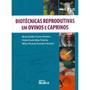 Imagem de Biotecnicas Reprodutivas Em Ovinos E Caprinos