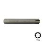 Imagem de Bit Torx Encaixe 10 X75 T55