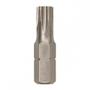 Imagem de Bits Torx Ht 40 X 50Mm ./ Kit Com 10 Unidades
