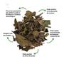 Imagem de Blend - Chá para Sinusite - 100% Natural - Alta Qualidade