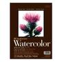 Imagem de Bloco Aquarela Strathmore 300g 22,9x30,5cm 12 Folhas