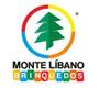 Imagem de Blocos - Tartaruga Marujo Educativo 4300 - Monte Líbano
