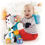 Imagem de  Blocos Zebra Brinquedo Educativo  Cgn63  Fisher Price