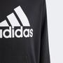 Imagem de Blusa Moletom Infantil Adidas Big Logo Essentials Capuz