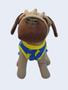 Imagem de Blusa Pet azul e amarela para frio brinquedos e patas P