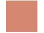 Imagem de Blush compacto Essence The Blush - 20