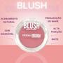 Imagem de Blush Dermachem Pinch Me Red