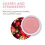 Imagem de Blush em Pó 100% Puro - Rosa Macio com Acabamento Shimmery - 1,81 oz