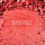 Imagem de Blush Oceane Edition Mini Glossy