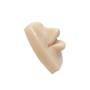 Imagem de Boca de Silicone Sintético para Treino de Micro Pigmentação Labial