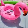 Imagem de Boia Bote Flamingo Inflável Infantil Fralda Alça Piscina