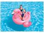 Imagem de Boia Circular Bote Flamingo - Intex