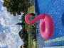 Imagem de Boia De Flamingo Pink Gigante 120Cm Para Piscinas