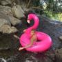 Imagem de Boia Flamingo Grande Para Adulto 120 Cm 