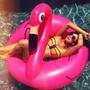 Imagem de Boia Flamingo Inflável Anel Ring 120Cm Grande Piscina