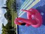 Imagem de Boia Flamingo Rosa Infantil Inflável C/ Assento Verão