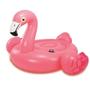 Boia Infantil Juvenil Inflável com Alça Flamingo Intex Imagem de Boia Infantil Juvenil Inflável com Alça Flamingo Intex