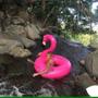 Imagem de Boia Inflável Adulto Flamingo Unicórnio Grande Piscina 120cm Verão - Snel