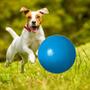 Imagem de Bola 45mm para Cães em Borracha Maciça Bolinha para Cachorro Brinqpet