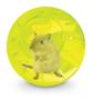 Imagem de Bola Brinquedo Globo Hamster Roedores Colors