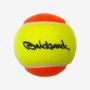 Imagem de Bola de Beach Tennis Quicksand ITF Aproved