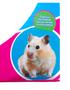 Imagem de Bola de Exercícios para Hamster Brinquedo para roedor 19 cm
